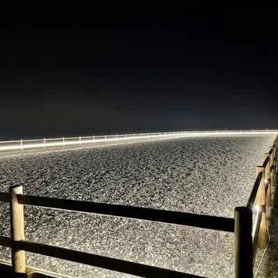 Beleuchtung für Reitplatz / Reithalle